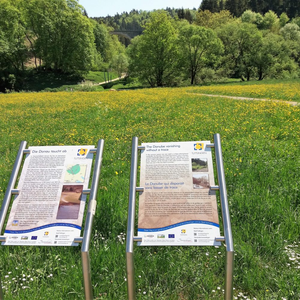 Donauversickerung (1)